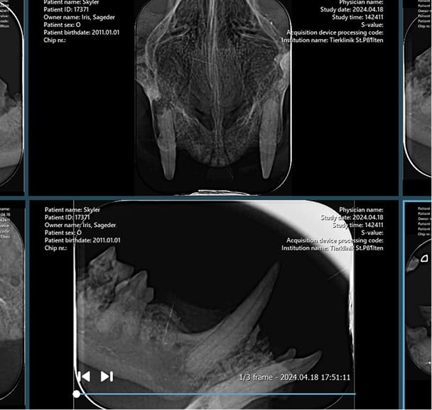 Image Comparison