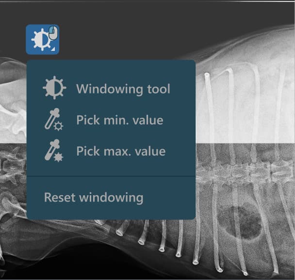 Windowing & Leveling