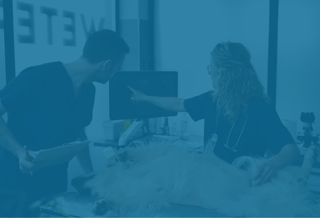 Your Medical Imaging Hub